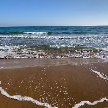 El Moncayo Guardamar Del Segura Sm- Spiaggia Moncayo - Piscina מראה חיצוני תמונה