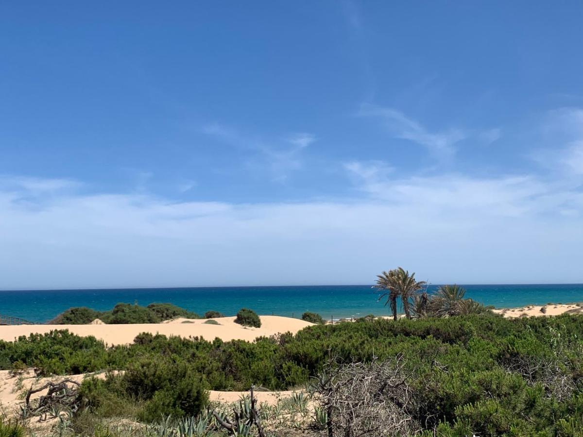 El Moncayo Guardamar Del Segura Sm- Spiaggia Moncayo - Piscina מראה חיצוני תמונה